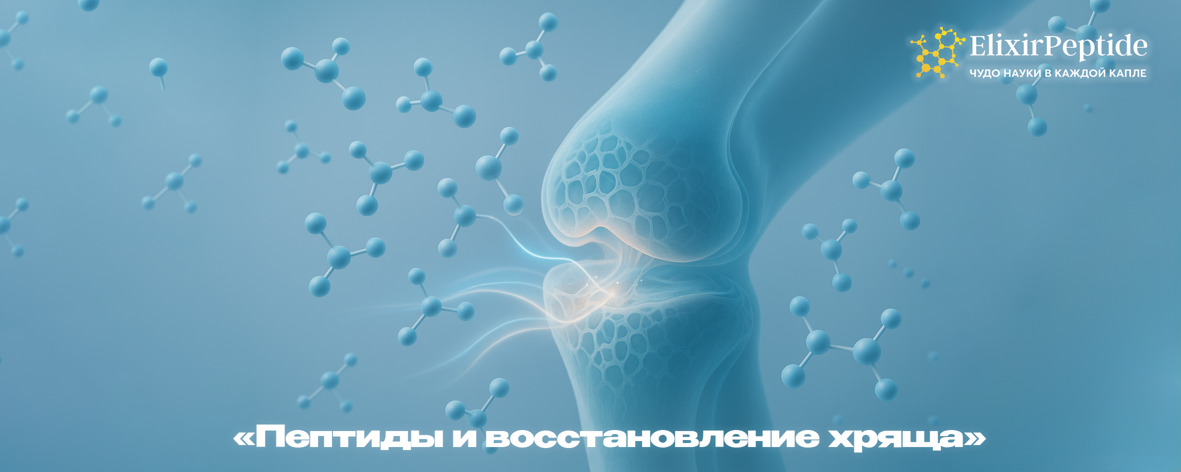 Пептиды и восстановление хряща